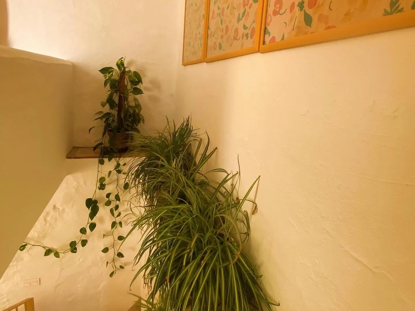 Apartment Romantic Ronda Garden Cottage